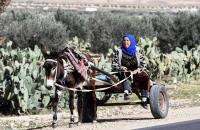 سيدة تعمل في الزراعة