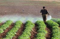 المبيدات الزراعية