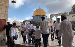 انتشار المستوطنين في المسجد الأقصي بالاعياد اليهودية