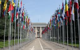 الأمم المتحدة