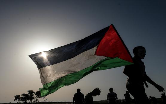 شبان يرفعون علم فلسطين