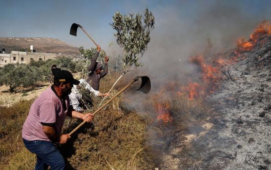 الاعتداءات على الاراضي الفلسطينية