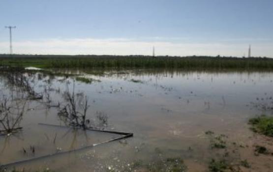 الاحتلال يدمر المحاصيل الزراعية بغزة