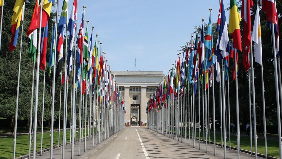 الأمم المتحدة