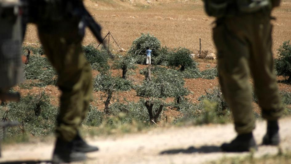 اعتداءات الاحتلال على الارض الفلسطينية